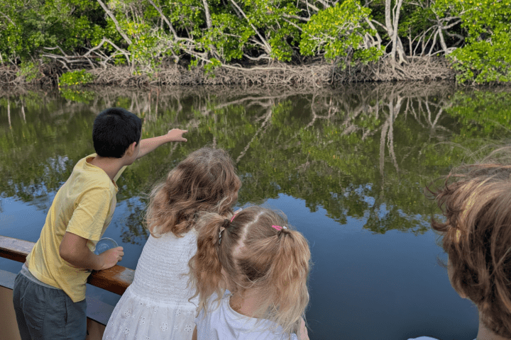 a person standing in front of a lake